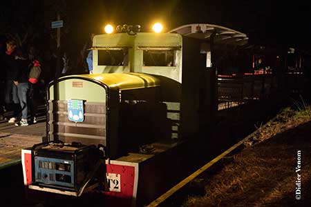 Trains du soleil couchant | Balade sur l'Ile d'Oléron en petit train sur rails