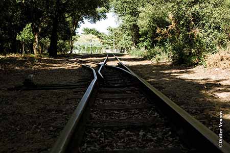 Association OSVF | Balade sur l'Ile d'Oléron en petit train sur rails