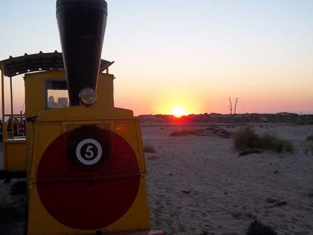 Trains du soleil couchant | Balade sur l'Ile d'Oléron en petit train sur rails