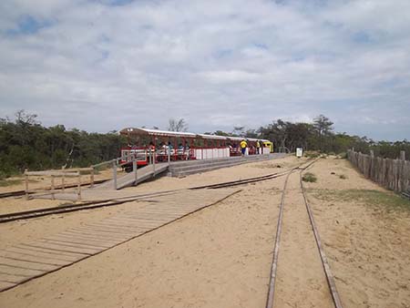 label Tourisme et handicap | P'tit train de Saint-Trojan Ile d'Oléron