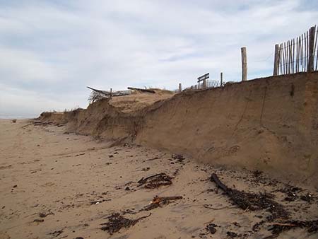 Environnement naturel du ptit train de St Trojan