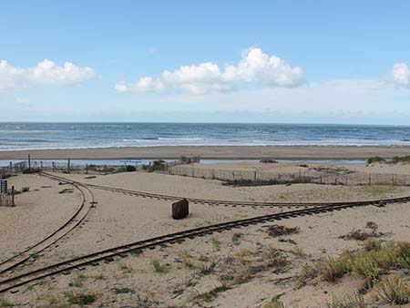 Environnement naturel du ptit train de St Trojan