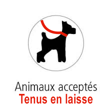 animaux acceptés tenus en laisse ptit train saint trojan.png