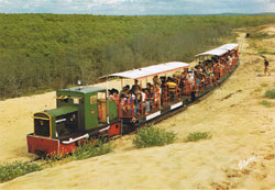 Le p'tit train-train de Mam'Zelle A: Nétwayé, baléyé, astiké !